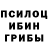 Галлюциногенные грибы мицелий roman040889