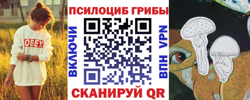 маркетплейс официальный сайт  Еманжелинск  Псилоцибиновые грибы прущие грибы 