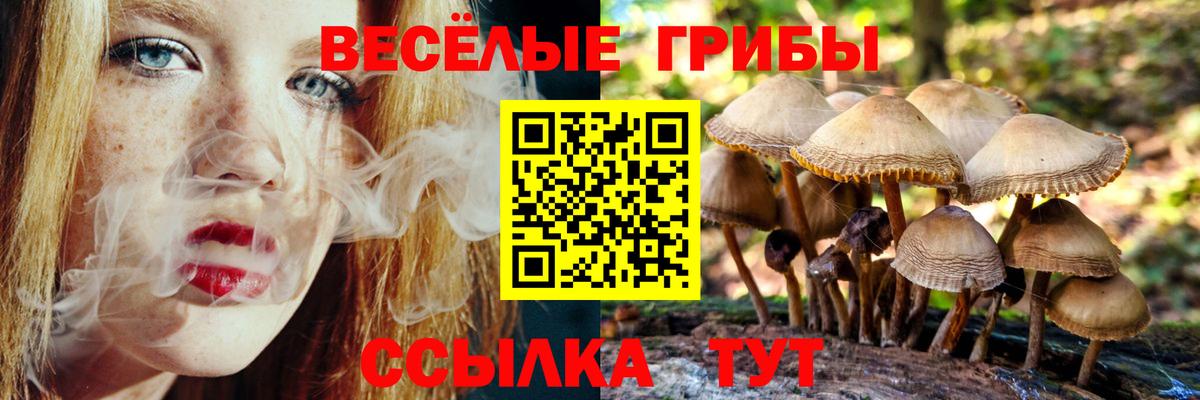 Псилоцибиновые грибы Cubensis Еманжелинск