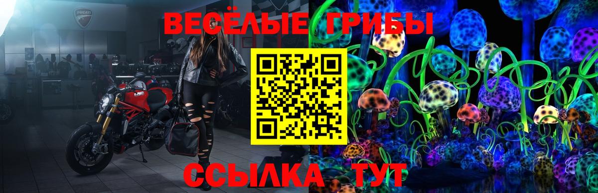 что такое наркотик  Вход с VPN  Еманжелинск  Псилоцибиновые грибы GOLDEN TEACHER 